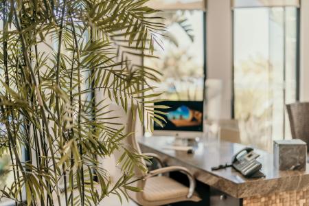 Arkin Palm Beach - 31