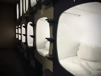 INGRESSO Capsule - 2