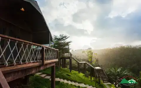 Khaosok Boutique Camps - 0