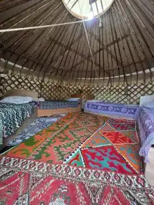 Ailuu Yurt Camp - 5