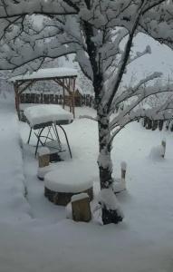 Popock Dilijan 1 - 10