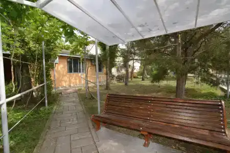 Пчела - 43