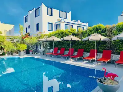 Artunc Bodrum - 0
