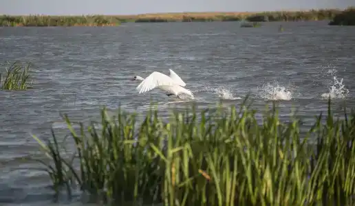 Загородный дом рыбака - 8