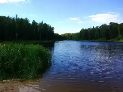 В Залесном рядом с М7 - 16