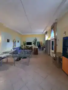 Соты - 1