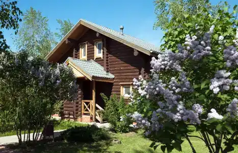 Подсолнух - 3