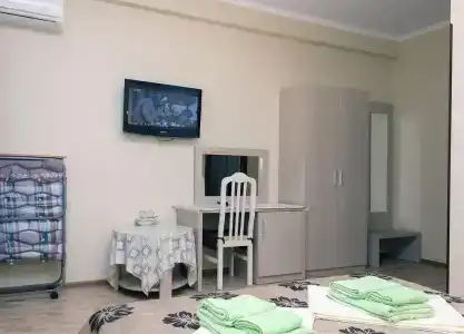 Аист - 51