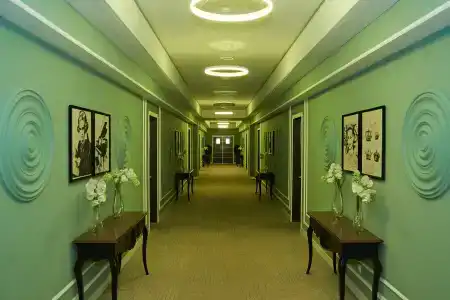 Green Which - 24