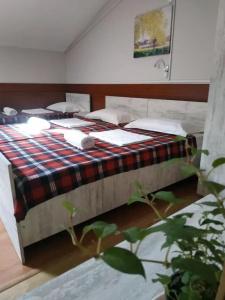 Hostel Portal - 17