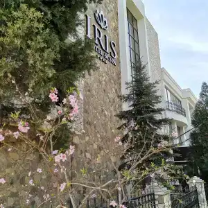 Iris - 26