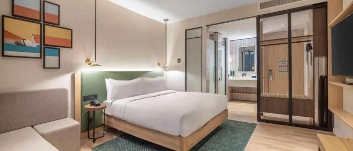 Hilton Garden Inn Tbilisi Riverview - 55