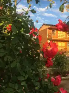 Сияние Солнце - 1