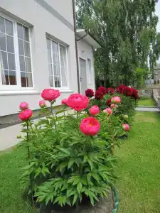Усадьба у моря - 0