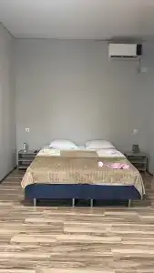Артин - 1