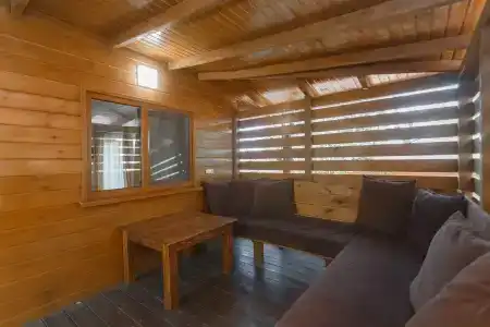 Poiana Bradului - 65