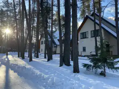 Серебряный родник - 25