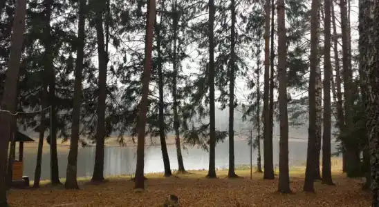 Флора Парк - 5