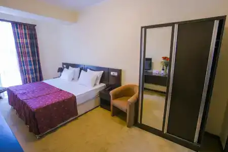 Ani Central Inn - 16