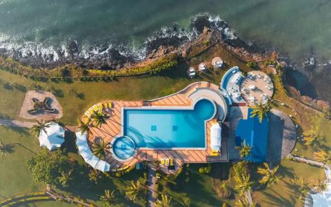 Golden Tulip - 46