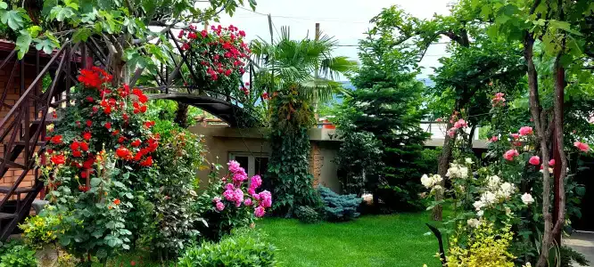 Green Garden - 2