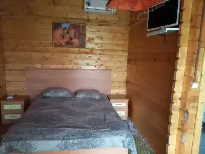 Пальма - 15