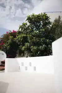 Bono - 94