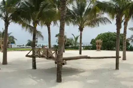 Fruit & Spice Wellness Zanzibar - 6