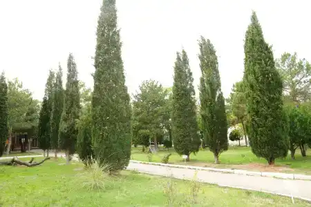 Прибой - 41