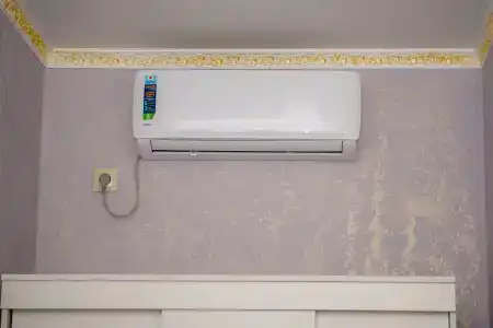 Морская Звезда - 8