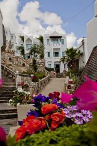 Afytos Bodrum - 16
