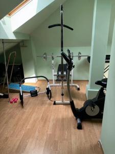 White Swan - 12