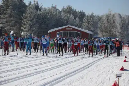 Малиновка - 10