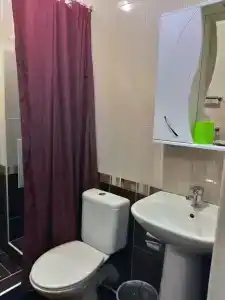 Аист - 111