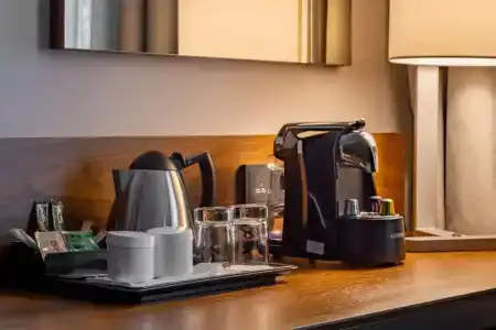 Hilton Garden Inn Tbilisi Chavchavadze - 41