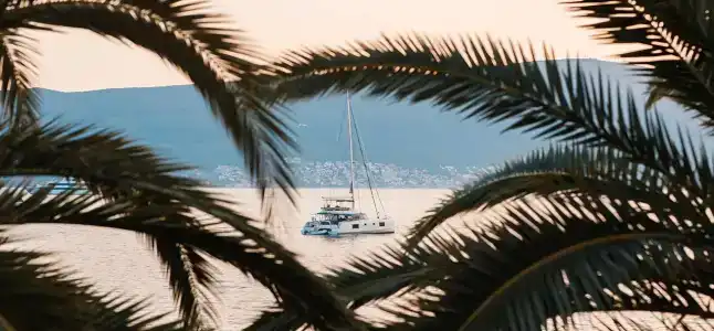 Palma - 9