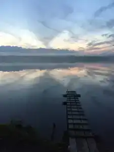 Чайка - 17