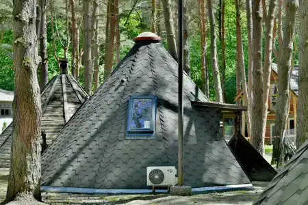 Рой Джой - 84
