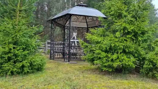 Магия леса в Беловежской пуще - 43
