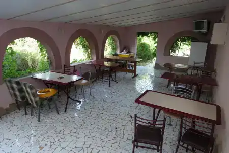 Глициния - 13