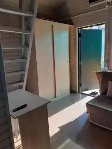 Пальма - 3