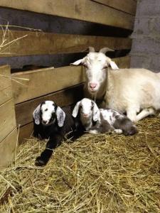 Колхидские ворота - 15