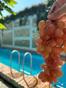 Ирина Gold - 0