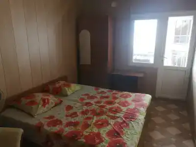 Виолетта - 20