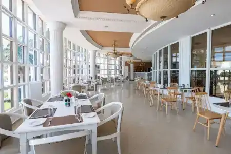 Golden Tulip - 15