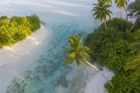 Rahaa Resort - 3