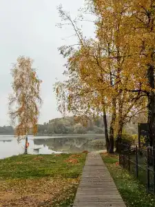 Берег желаний - 28