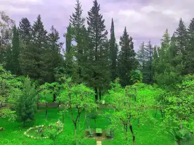 Imeri Park - 11