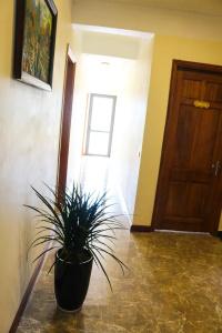Sapa Garden - 34
