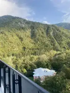 Borjomi Likani Health & Spa Centre - 72